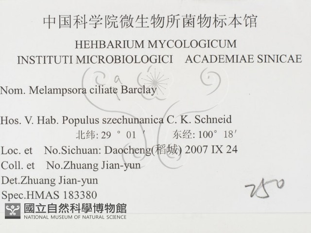 登錄號:F0026403藏品圖，第3張