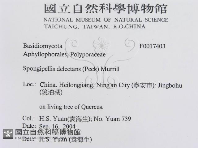 登錄號:F0017403藏品圖，第3張