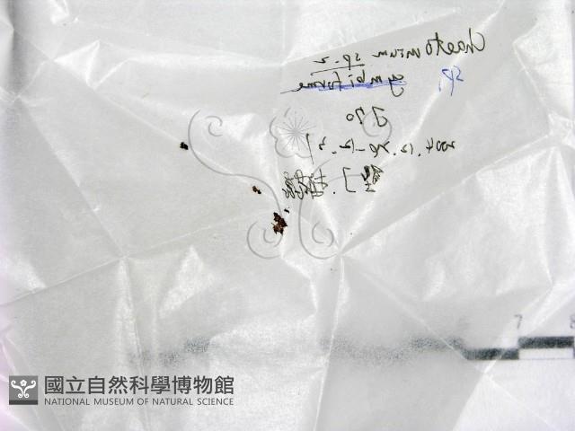 登錄號:F0019703藏品圖，第1張