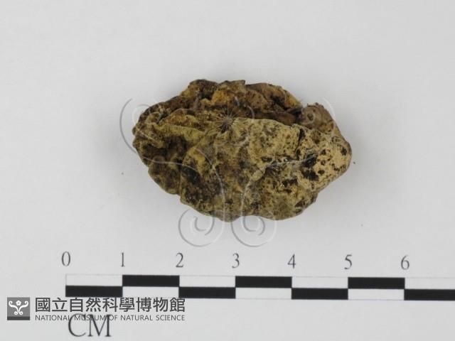 登錄號:F0003703藏品圖，第1張