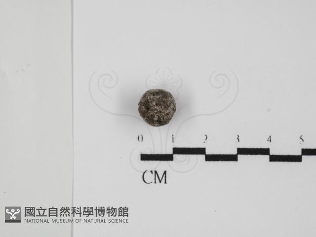 登錄號:F0016503藏品圖，第1張