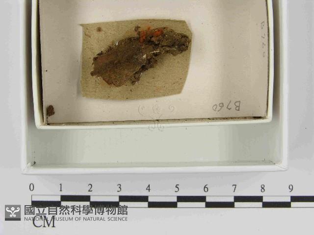 登錄號:F0021503藏品圖，第1張