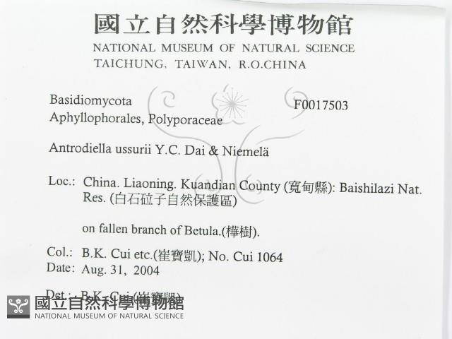 登錄號:F0017503藏品圖，第3張