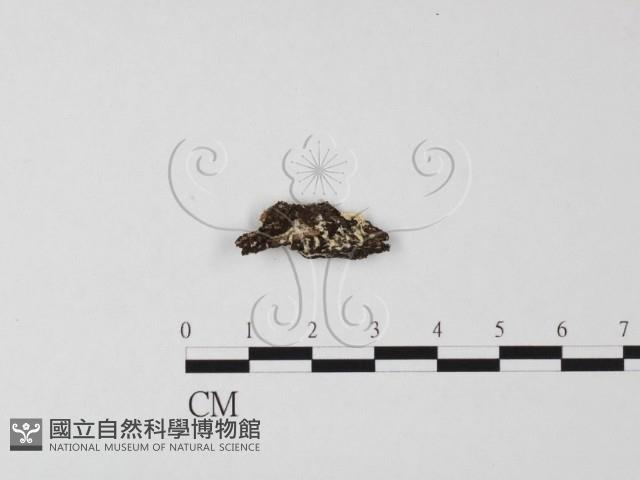 登錄號:F0025503藏品圖，第1張