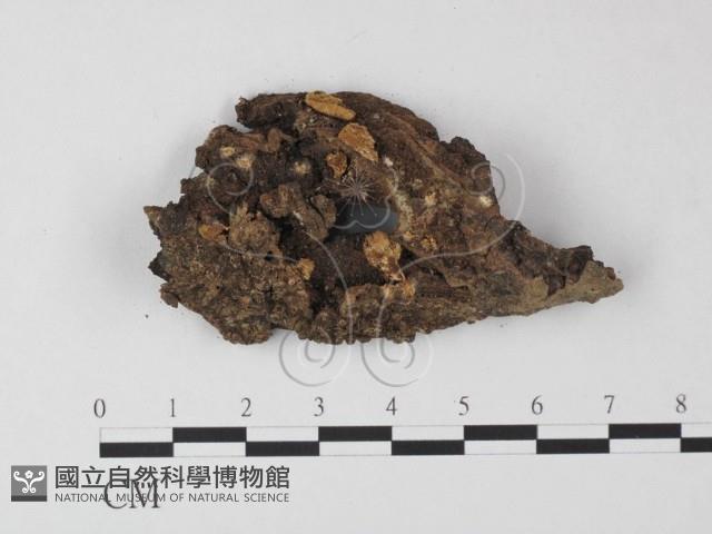 登錄號:F0010103藏品圖，第1張