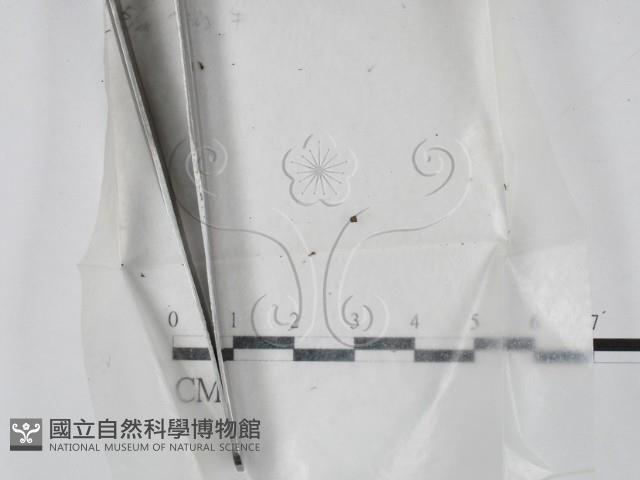 登錄號:F0002103藏品圖，第1張