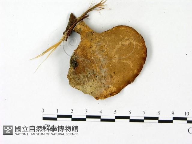 登錄號:F0023103藏品圖，第1張