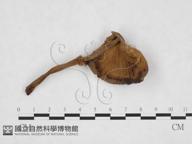 登錄號:F0026003藏品圖，第1張