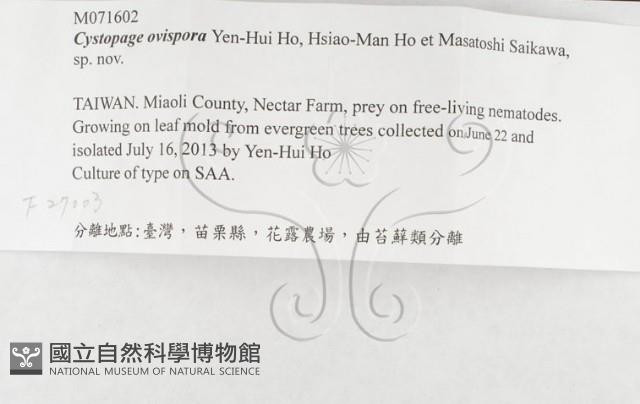 登錄號:F0027003藏品圖，第3張