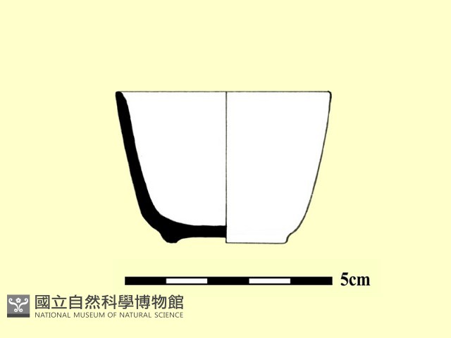 瓷杯藏品圖，第2張