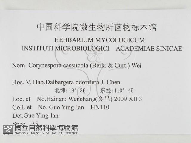 登錄號:F0026303藏品圖，第3張