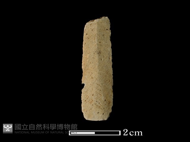 矛鏃形器藏品圖，第2張