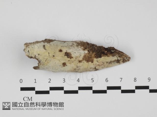 登錄號:F0032303藏品圖，第1張