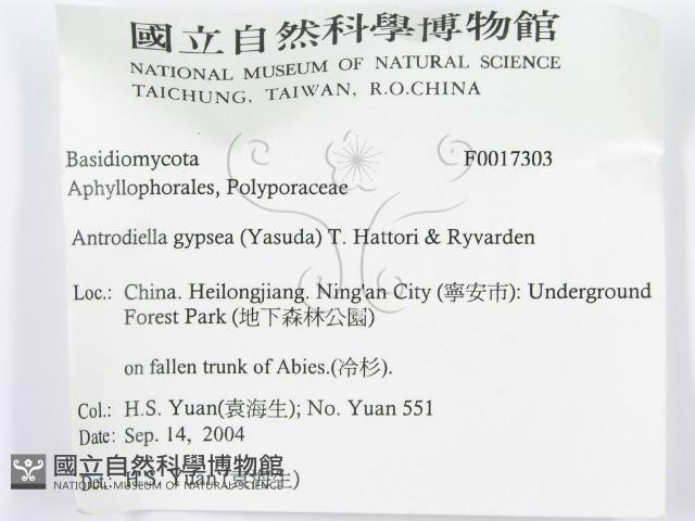 登錄號:F0017303藏品圖，第3張