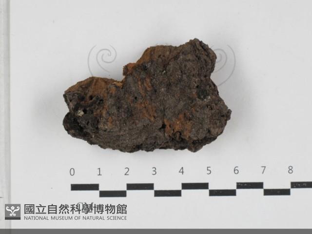 登錄號:F0033303藏品圖，第1張