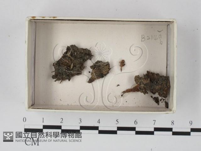 登錄號:F0018213藏品圖，第1張