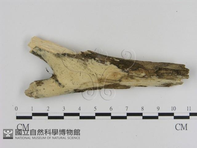 登錄號:F0000213藏品圖，第1張
