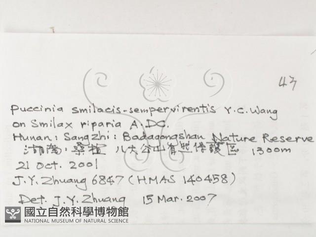 登錄號:F0026213藏品圖，第3張