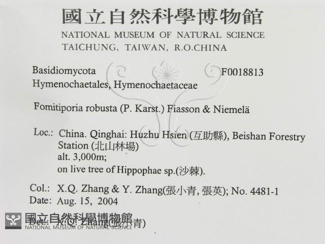 登錄號:F0018813藏品圖，第3張