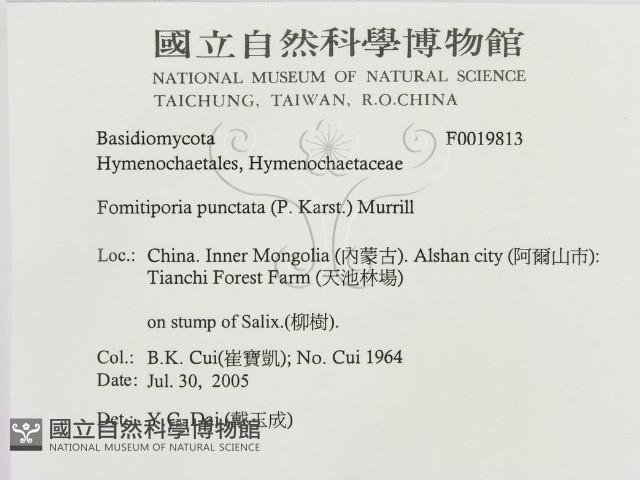 登錄號:F0019813藏品圖，第3張