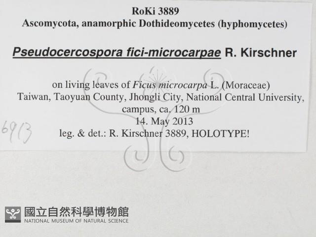 登錄號:F0026913藏品圖，第3張