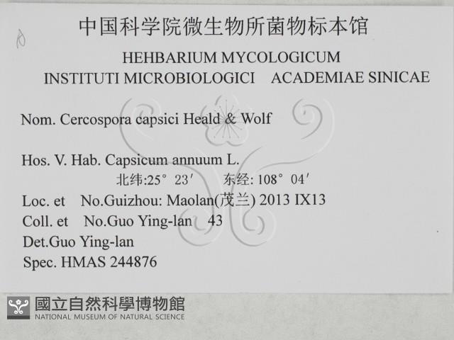 登錄號:F0027913藏品圖，第3張