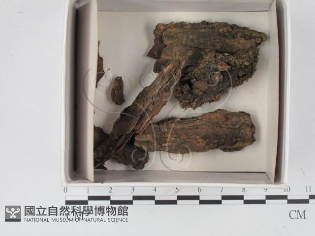 登錄號:F0018613藏品圖，第1張