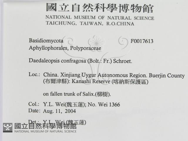 登錄號:F0017613藏品圖，第3張