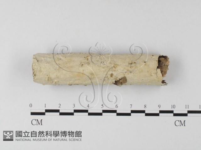 登錄號:F0025613藏品圖，第1張