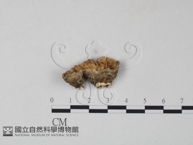 Accession Number:F0005613 Collection Image, Figure 1, Total 3 Figures