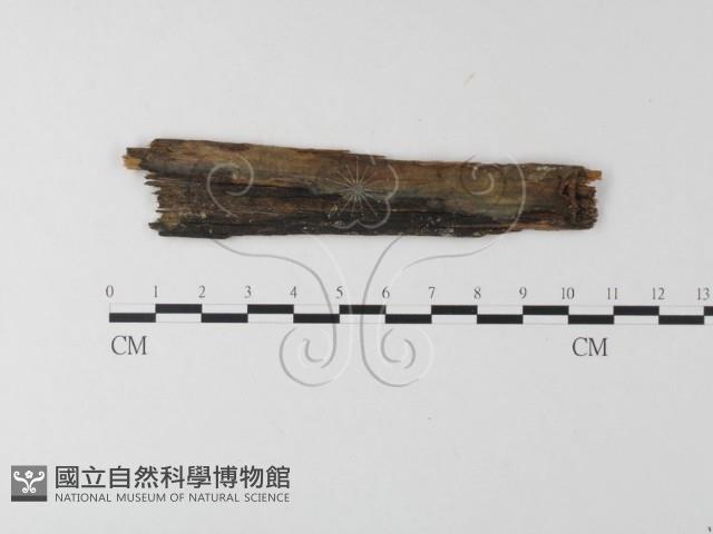 登錄號:F0009613藏品圖，第1張