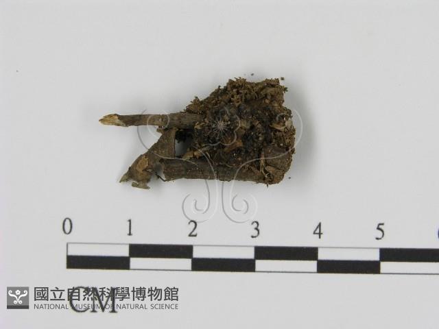 登錄號:F0021413藏品圖，第1張