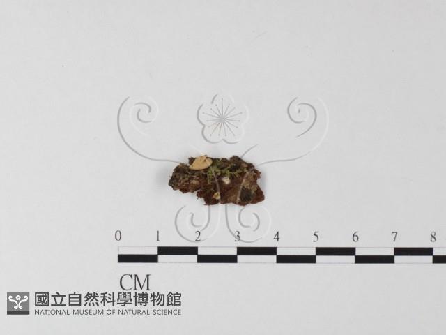 登錄號:F0013413藏品圖，第1張