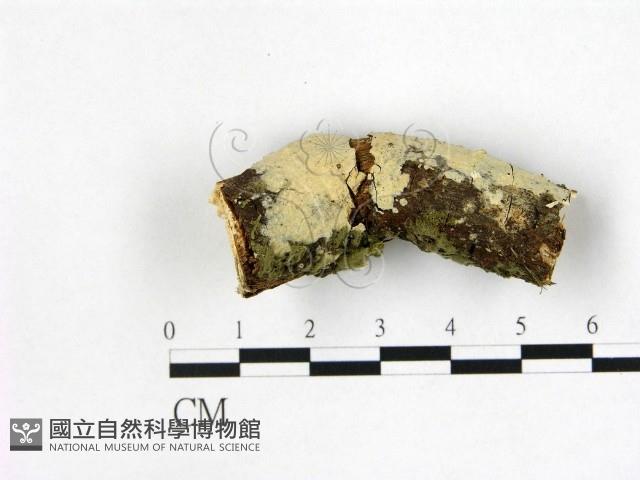 登錄號:F0018713藏品圖，第1張