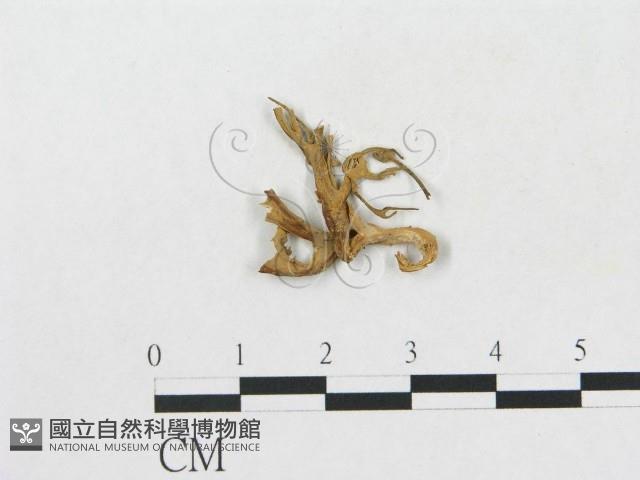 登錄號:F0001713藏品圖，第1張