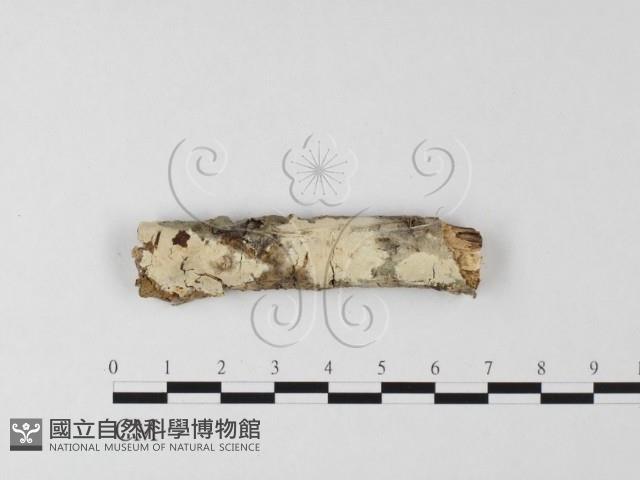 登錄號:F0015713藏品圖，第1張