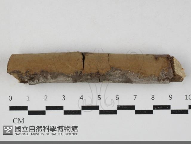 登錄號:F0033713藏品圖，第1張