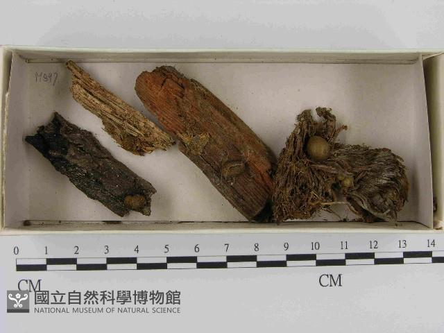 登錄號:F0021513藏品圖，第1張