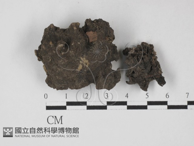 登錄號:F0027513藏品圖，第1張