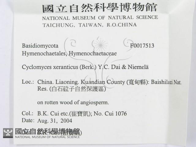 登錄號:F0017513藏品圖，第3張