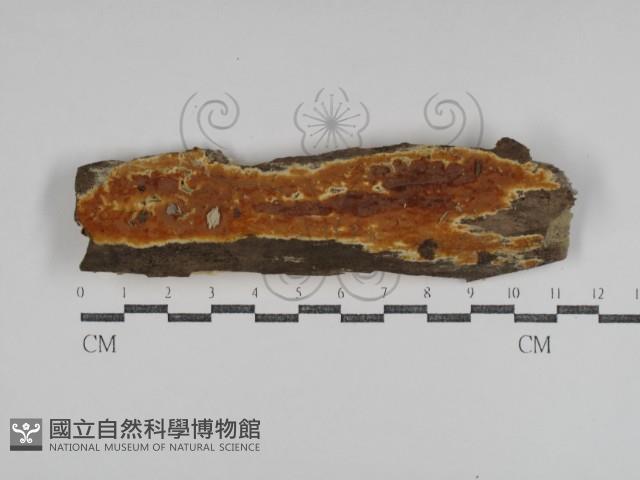 登錄號:F0031113藏品圖，第1張