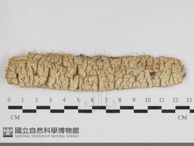 登錄號:F0034113藏品圖，第1張
