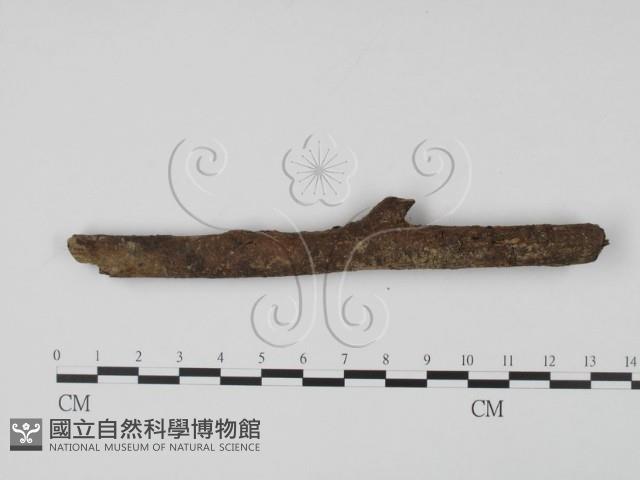 登錄號:F0002113藏品圖，第1張