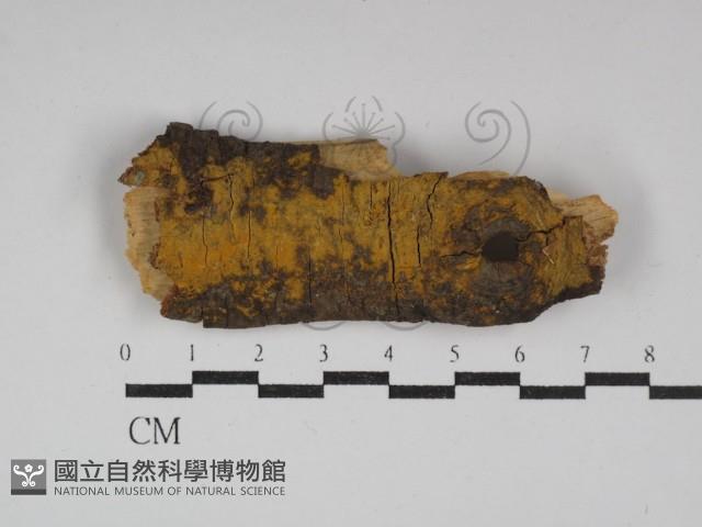 登錄號:F0030013藏品圖，第1張