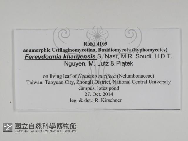 登錄號:F0031013藏品圖，第3張