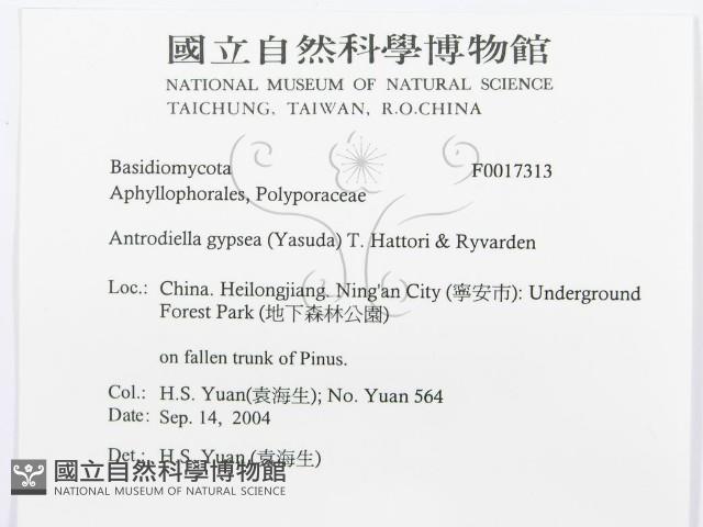 登錄號:F0017313藏品圖，第3張