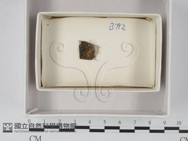 登錄號:F0021253藏品圖，第1張