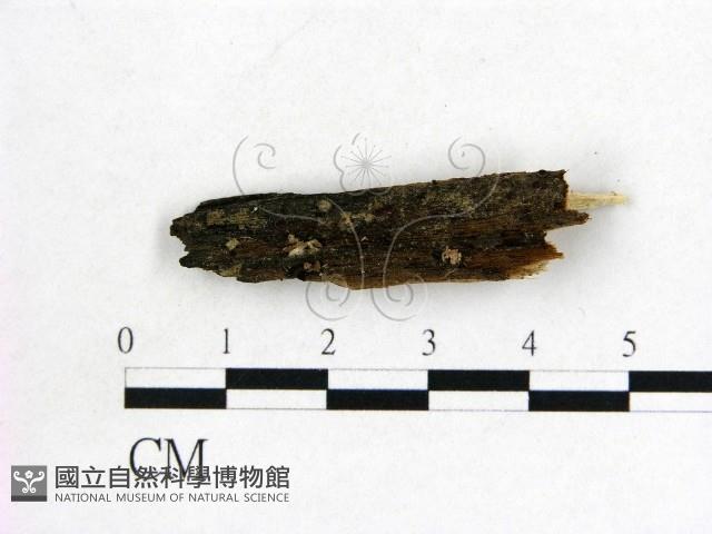 登錄號:F0012253藏品圖，第1張