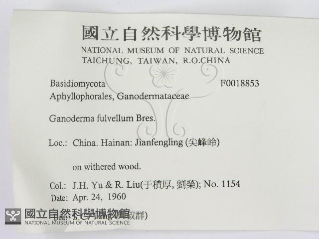 登錄號:F0018853藏品圖，第3張