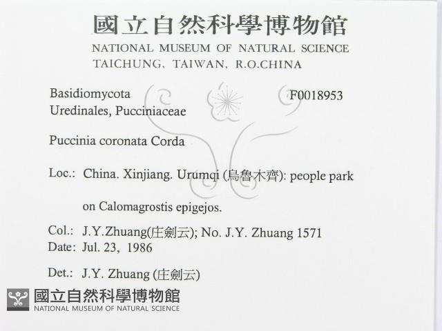 登錄號:F0018953藏品圖，第3張